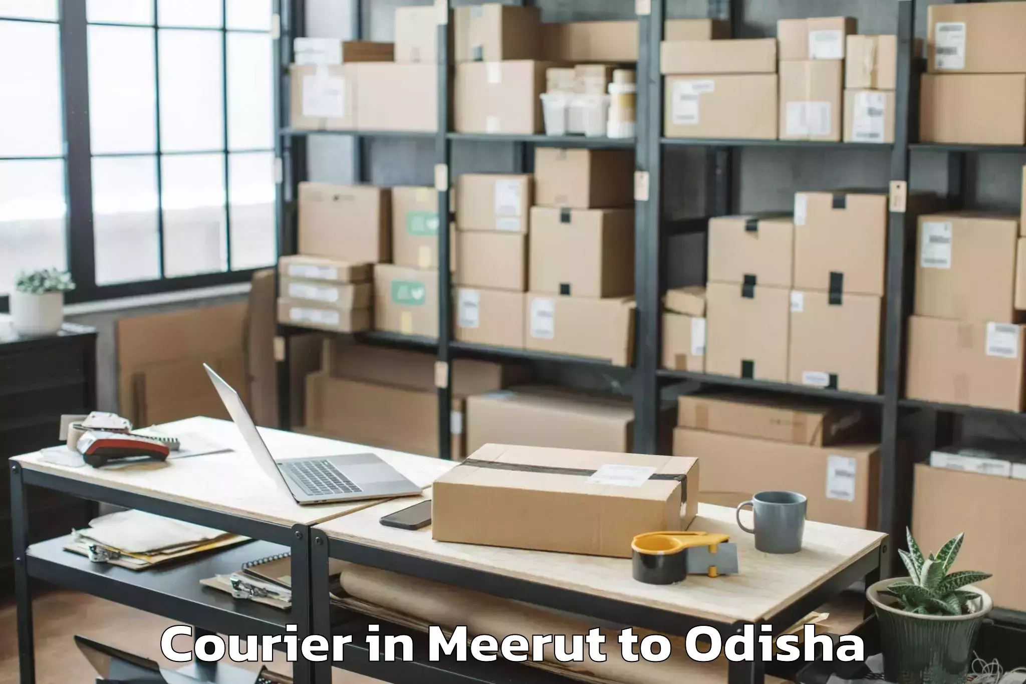 Reliable Meerut to Chhendipada Courier